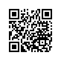 41009-1334 タイヤ,FR,3.00-21 4PR,K750A(