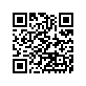 41009-1405 タイヤ,RR,3.00-12 4PR,C-803(CHEN