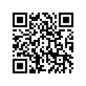 41009-1435 タイヤ,FR,90/90-17 49P,NF53(