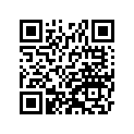 410091163 Tire, Fr