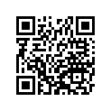 410091164 Tire, Rr