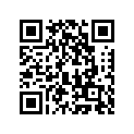 410091312 Tire, Fr