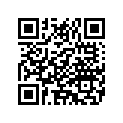 4101766A HUBASSYSR