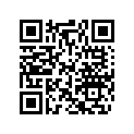 410207900 Ressort *spring