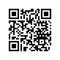 410210700 LEVER