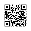 410221132