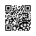 410221140 Tube-tire