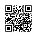 410231009 Band, Rim