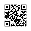 410231082 Band-rim, 100/90-17(d)