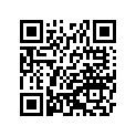 41025-0057 リム,FR,2.15X19