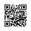 41025-0096-WA RIM,FR,1.40X17,SILVER