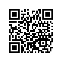 41025-0098-WA RIM,FR,1.40X19,SILVER