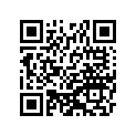 41025-1184 リム,FR,1.40X17EN6J