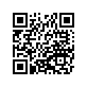 41025-1204 リム,FR,1.60X21E7J,シルバ-