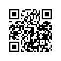 41025-1241 リム,FR,1.60X21