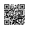 41025-1365-WA リム,FR,1.60X21,シルバ-