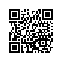 410250052