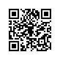 410251171
