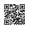 410251217 Rim, Fr, 1.40x19en22j