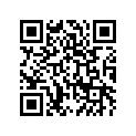 41028068