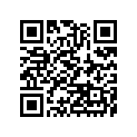410291338