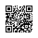 410301165 Spoke-outer