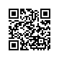 410341039