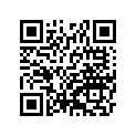410351331