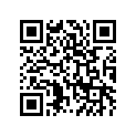 41045007