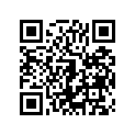 410481091