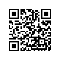 41058008