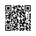 41068039