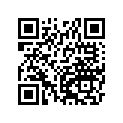 41068049