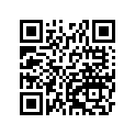 410681091
