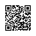 410681175 Axle, Fr