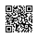 41069033