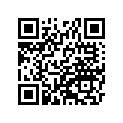 41073-0084-2A ホイ-ルアツシ,FR,グレ-スト-ン