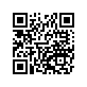 41073-0105-795 ホイ-ルアツシ,FR,シルバー