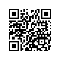 41073-0629-18F ホイ-ルアツシ,FR,ブラツク