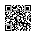 41073-1496-CJ ホイ-ルアツシ,FR,グリ-ン