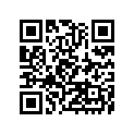 41073-1497-DH ホイ-ルアツシ,FR,グレ-