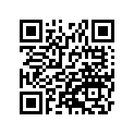 41073-1518-GE ホイ-ルアツシ,FR,グレ-