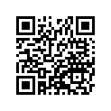 41073-1546-JD ホイ-ルアツシ,RR,グレ-