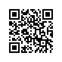 41073-1589-DH ホイ-ルアツシ,RR,グレー