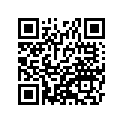 41073-1621-DH ホイ-ルアツシ,RR,グレ-