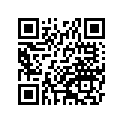 41078008
