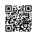 41078009