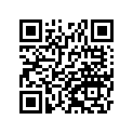 41080-1106-CM デイスク,FR,シルバ-