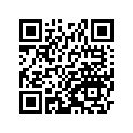 41080-1244 Disc, Fr (option)