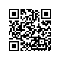 41080-1271 Disc, Fr (option)